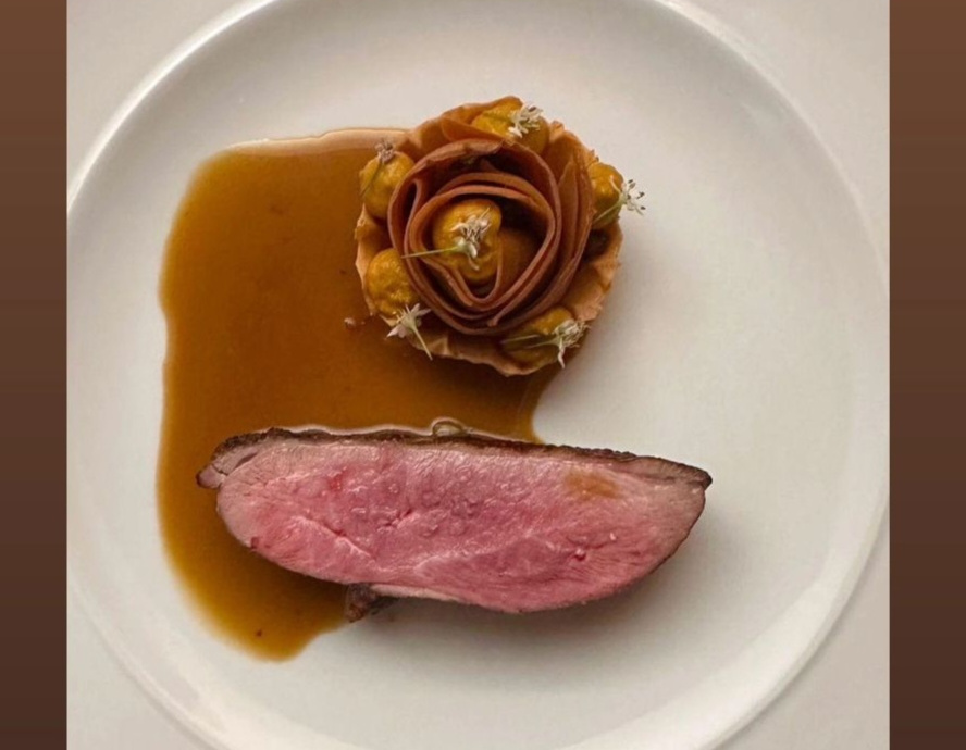 Sliced duck breast with sauced rosette and herbs